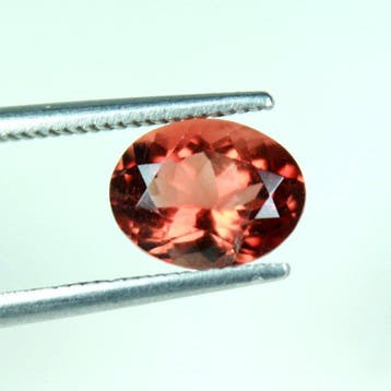 Sans prix de réserve - 1 pcs Brun, Orange Pierres précieuses, Nieuw