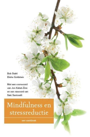 Mindfulness en stressreductie - Stahl, Verzenden