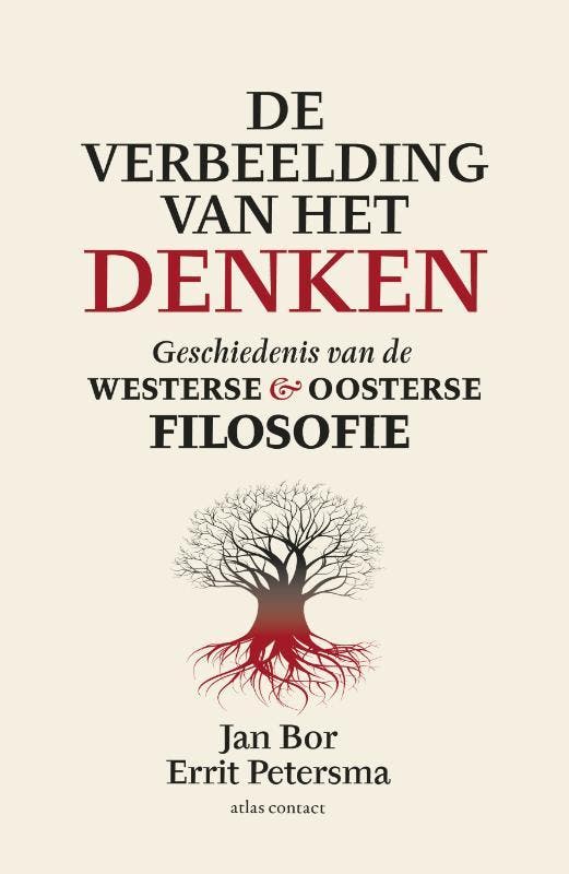 De verbeelding van het denken 9789045028118 Jan Bor, Boeken, Filosofie, Zo goed als nieuw, Verzenden