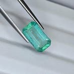 Zonder minimumprijs Smaragd - 4.17 ct - International, Nieuw