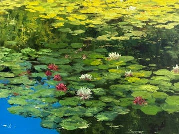 Emre Kinali - Lily Pool