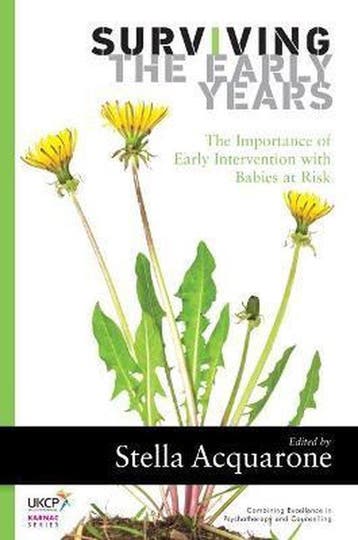 Surviving the Early Years 9781782202783 Stella Acquarone, Verzenden, Stella Acquarone