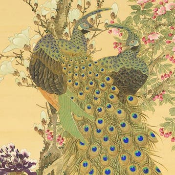 Gyokudofuki - Pair of Peafowls with box - Karashima, Antiek en Kunst