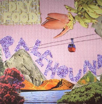 Palehound - Dry Food, Verzenden, Gebruikt