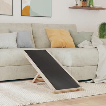vidaXL Hondenloopplank 100x40 cm massief vurenhout grijs, Dieren en Toebehoren, Verzenden, Nieuw