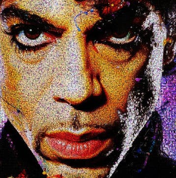 David Law - Purple King- Prince III - Format XL 60x60