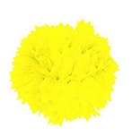 Pompon Neon Geel 30cm, Verzenden