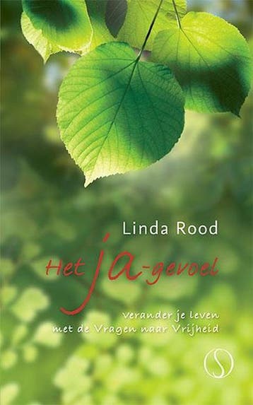 Het ja-gevoel 9789491411700 Linda Rood, Verzenden, Gelezen, Linda Rood