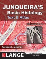 Junqueiras Basic Histology 9781260288414 AnthonyL Mescher, Verzenden, Gelezen, AnthonyL Mescher