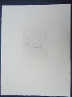 Auguste Renoir (1841-1919) - Portrait de Berthe Morisot