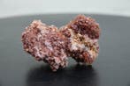 aragoniet roos Taxidermie volledige montage - cluster - 7 cm