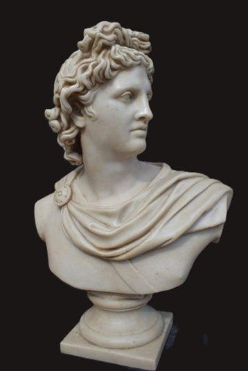 sculptuur, Busto Apollo del Belvedere - 46 cm - Marco di