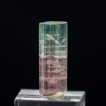 Uitzonderlijke Santa Rosa tweekleurige tourmalijn • 6,70 ct