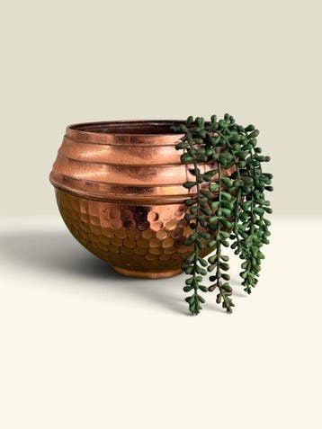 Jardinière - Vintage Franse handgeslagen koperen cachepot /