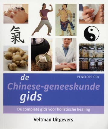 De Chinese-geneeskundegids 9789048303632 P. Ody, Boeken, Verzenden, Gelezen, P. Ody