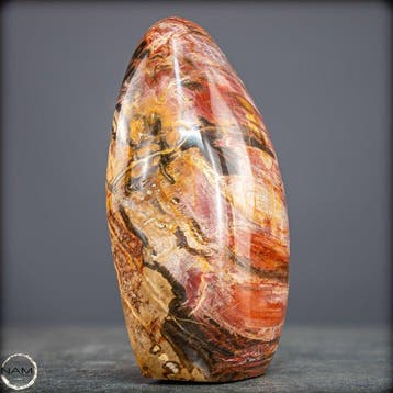 Hoogwaardige vrije vorm uit versteend hout. met een