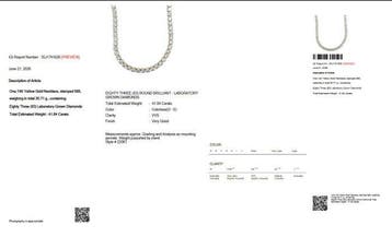 Collier - 14 carats Or jaune - 41.84ct. tw. Diamant (Cultivé, Nieuw