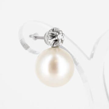 Oorbellen - 18 karaat Witgoud Diamant (Natuurlijk) - Parel