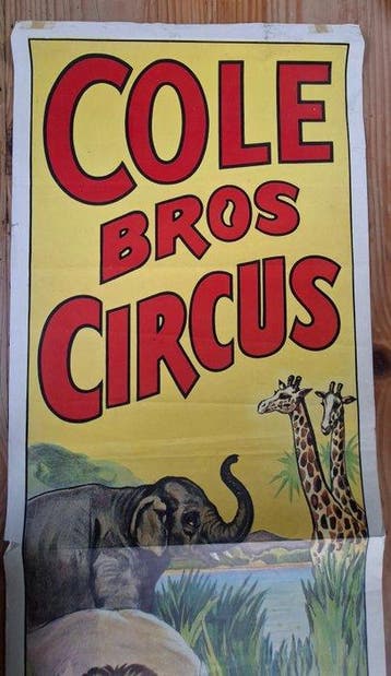 unknown - Vintage Circus poster - Cole bros - Années 1950