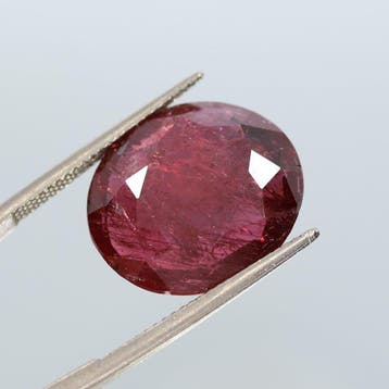 1 pcs Rood Robijn - 16.60 ct - Asian Institute of
