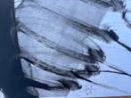 Kurt Rudolf H. Sonderborg (1923-2008) - ohne Titel