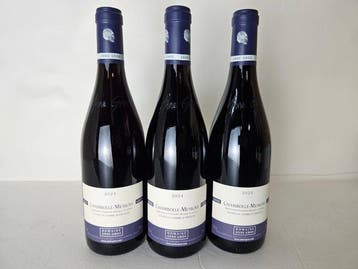 2024 Anne Gros La Combe dOrveau - Chambolle Musigny - 3, Nieuw