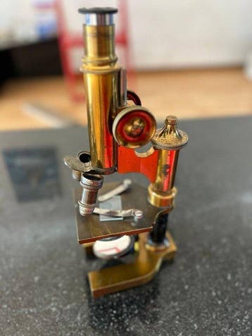 Monocular compound microscope - 65108 - 1900-1910 -