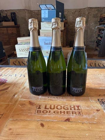 Petit-Camusat - Champagne Blanc de Blancs, Brut - 3, Collections, Vins