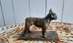 P. Chenet - Figure - Bulldog - 20 cm - Bronze