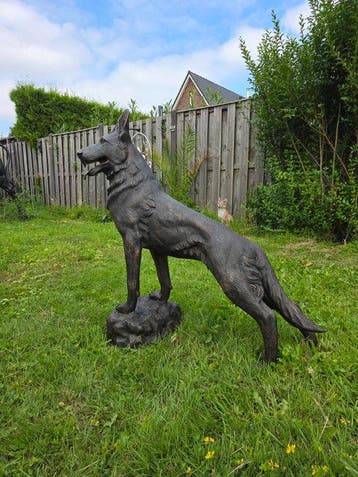 Statue, Bronze: XL Shepherd Dog - 102 cm - Bronze - 2026