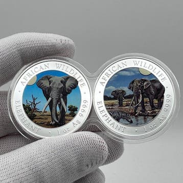 Somalië. 100 Shilling African Wildlife Elephant 2025/2026 –