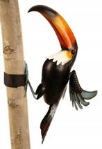 Decoratief ornament - toekan