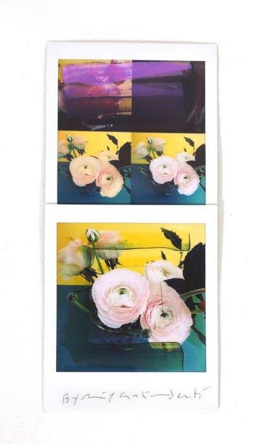Maurizio Galimberti (1956–) - BiFlowers - 11631