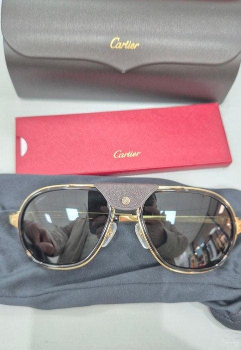 Cartier - CT0241S - Lunettes de soleil, Bijoux, Sacs & Beauté, Lunettes de Soleil & Lunettes | Femmes