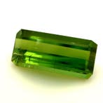 Zonder minimumprijs - 1 pcs Groen, Geel Toermalijn - 2.21 ct