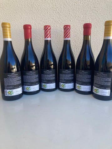 2019 (2x) Quinta dos Termos, A Surpresa, 2019 (2x) O
