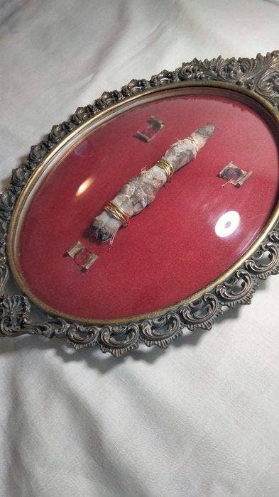 Rare reproduction du « Doigt de Géant » momifié dans un, Antiek en Kunst, Curiosa en Brocante