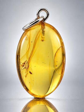 Kristalheldere honingamber hanger – CHRYSOPIDAE LACEWING –