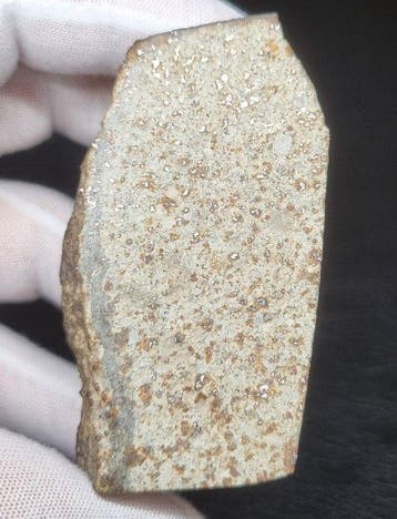 H6 chondriet NWA 8756 - asteroïdefragment met fusiekorst -