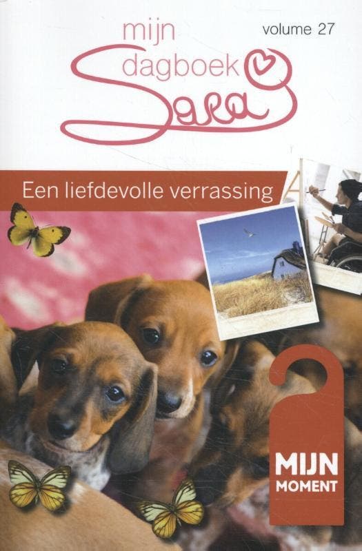 Een liefdevolle verrassing / Sara mijn dagboek / 27 Ria Maes, Boeken, Romans, Zo goed als nieuw, Verzenden
