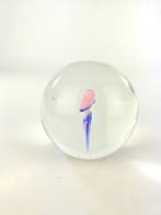 sculptuur, Acquario Sfera Medusa Rosa - 10 cm - Glas