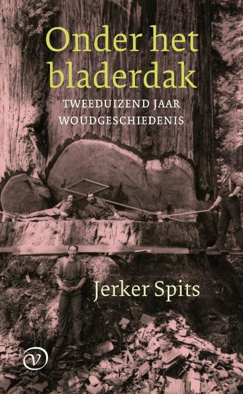 Onder het bladerdak 9789028242142 Jerker Spits, Boeken, Geschiedenis | Wereld, Gelezen, Verzenden