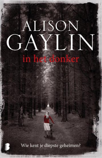 In het donker / Brenna Spector / 2 9789022575208, Verzenden, Gelezen, Alison Gaylin