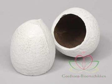 Coconut Top-cut Kokosnoot Wit 5 stuks 480 gram, Nieuw
