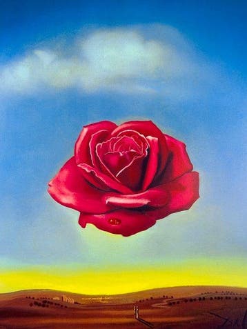 Salvador Dalí (after) - La Rosa Meditativa, 1958 - Lito M&S, Antiquités & Art, Art | Dessins & Photographie