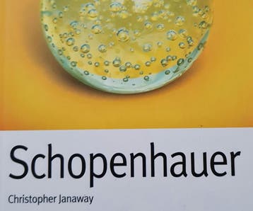 Schopenhauer 5413662912065 Christopher Janaway, Verzenden, Gelezen, Christopher Janaway