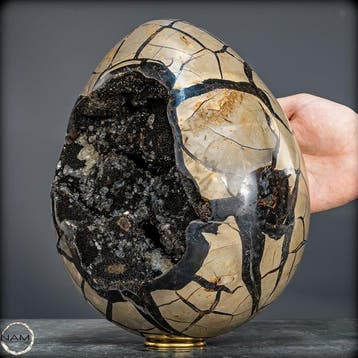 Septarien calciet geode ei – monumentaal luxeobject uit
