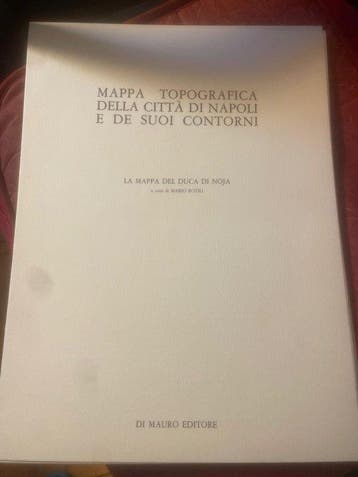 AA.VV. - Mappa Topografica della Città di Napoli e dei suoi