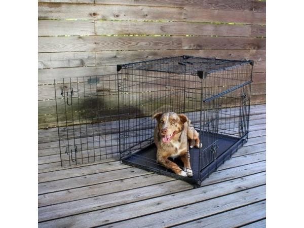 Veiling - Lucky Dog bench met tussenschot 106x71x78cm, Dieren en Toebehoren, Hondenbenches