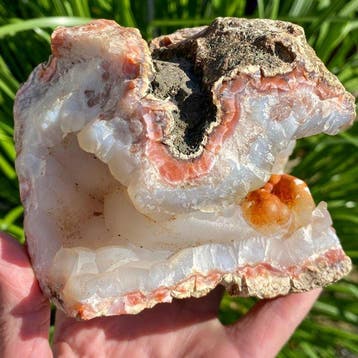Chalcedoon geode Botryoidaal Kristalcluster - Hoogte: 13 cm